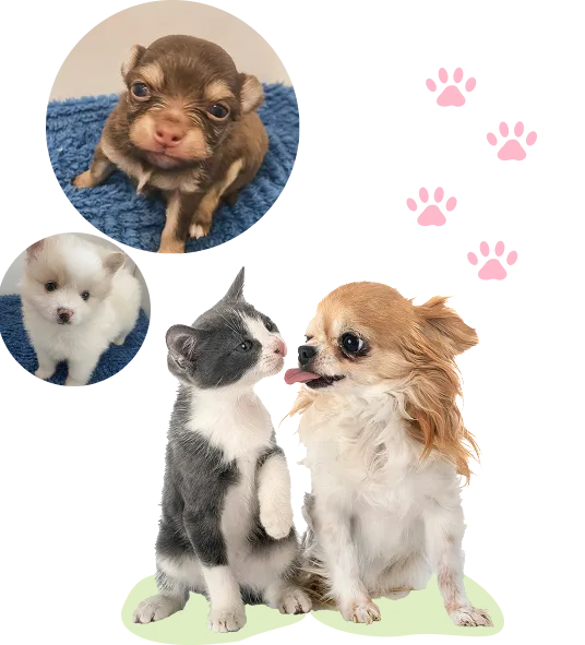 メインスライダー画像