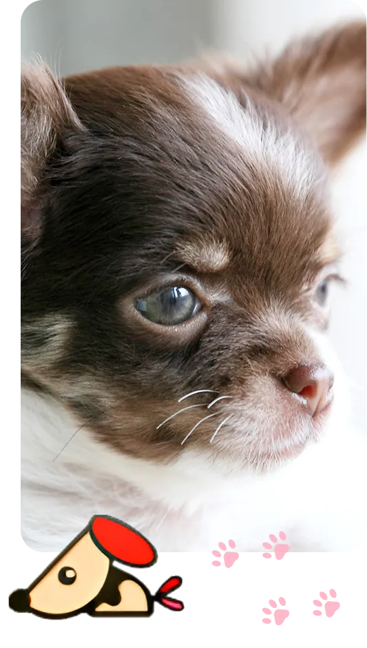 メインスライダー画像