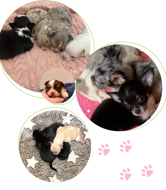 メインスライダー画像