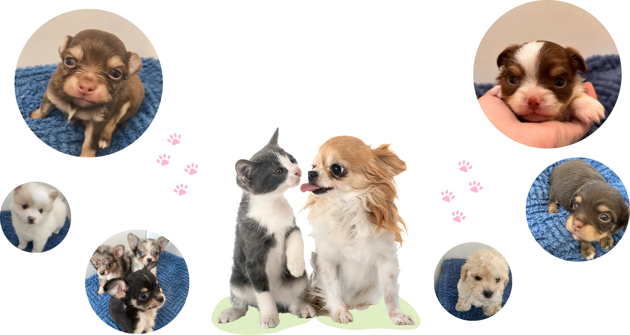 メインスライダー画像