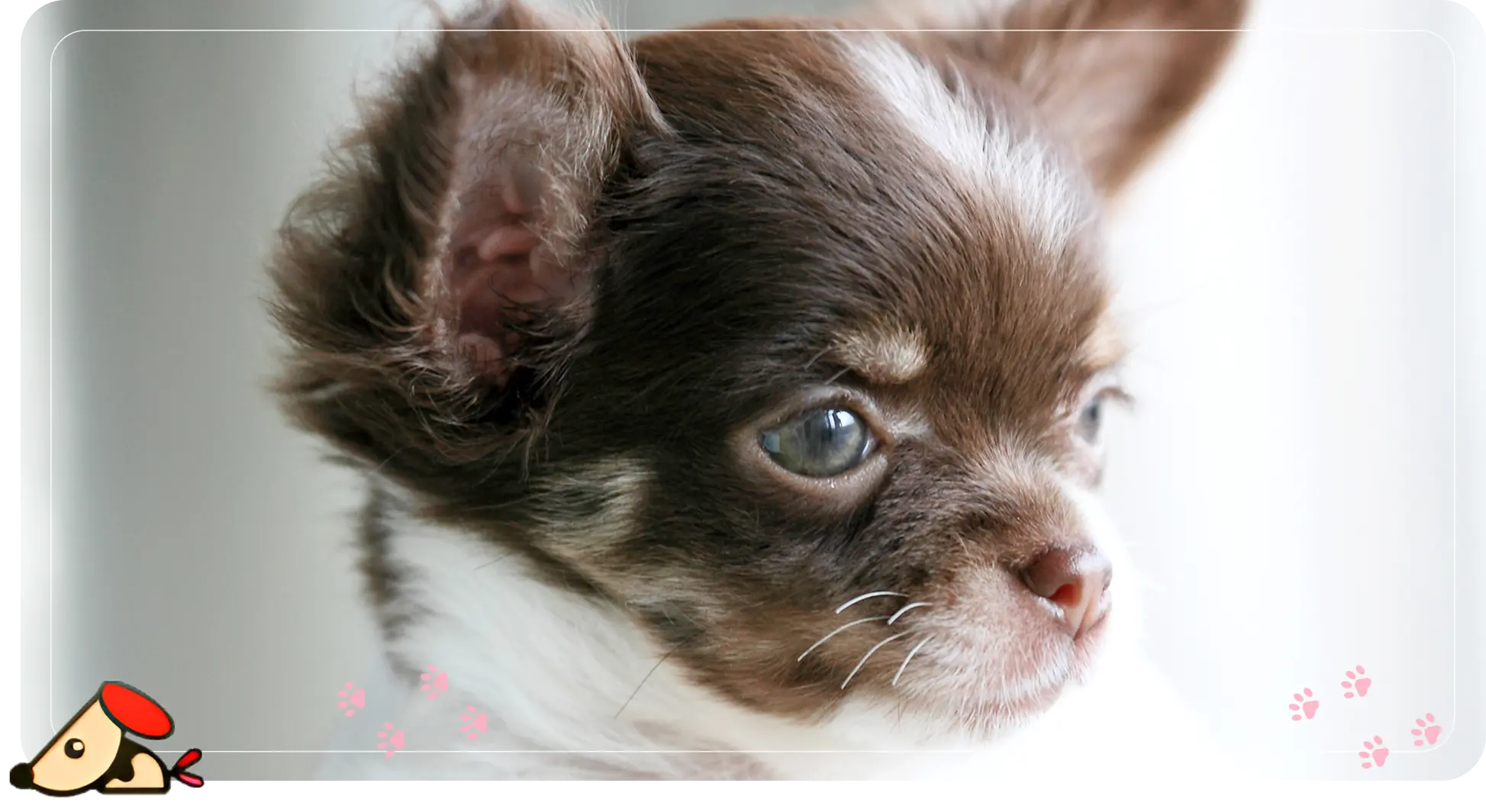 メインスライダー画像