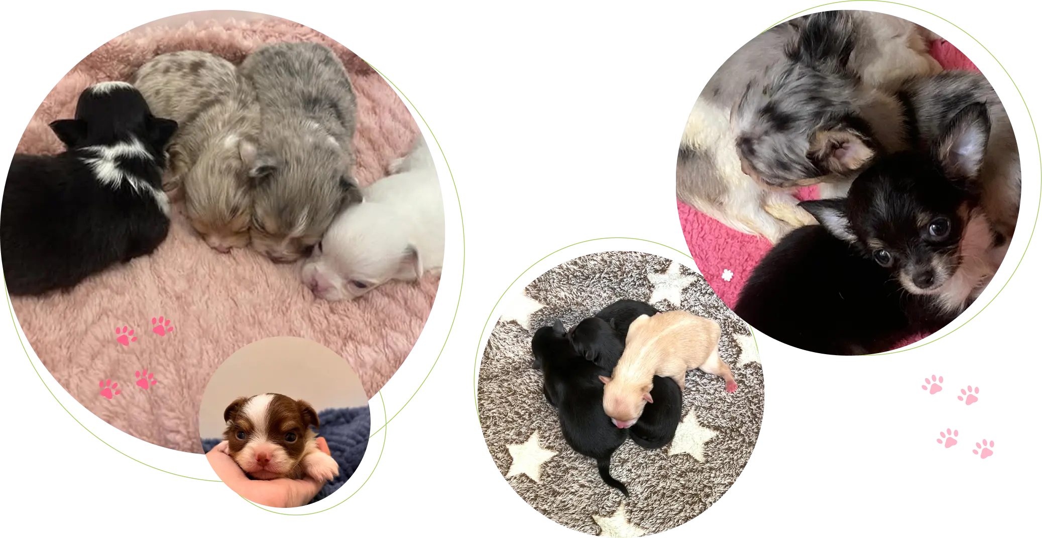 メインスライダー画像